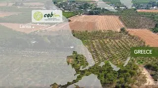 FILM #1 / Market garden in almond agroforestry / Larisa / Regenerative farming Greece Project