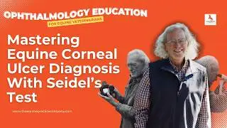 Mastering Equine Corneal Ulcer Diagnosis With Seidel&rsquo;s Test