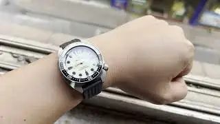 Full Lume Dial Under $100?! PARNSRPE Black Diver Watch Review