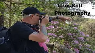 Tabletop LensBall Photography
