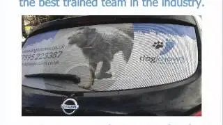 Start A Dog Care & Training Franchise with Dogknows