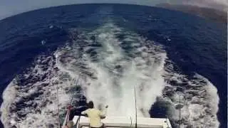 Bait and Pitch Technique