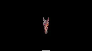 The Arbitrage Run Show | Breeding Strategy