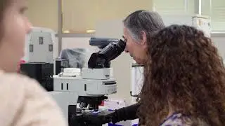 El Paso's Health Department Lab Tour