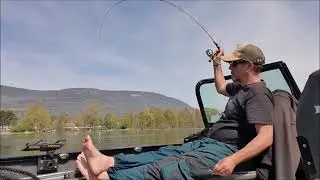 Felchen fischen/Pêche au Corégone  Lac de Neuchâtel  24.1