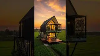 Tiny House Timelapse &ndash; Modern Living in Nature 🌾 #tinyhome #DreamTinyHouse #NatureEscape