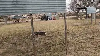 Video of Whites City RV Park, NM from Vidalia S.