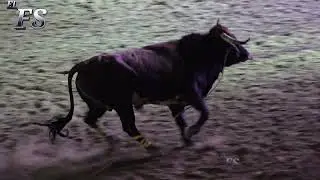 Chiquimitio Michoacán 7 de Diciembre 2025