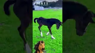 🏇 Real Horses Bring Spirit to Life | A Majestic Cartoon Remake, Foal playing, Animals Cute #horse