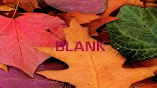 BLANK TAPES (1994) [Alternative/Experimental/House/Prog/Shoegaze/Techno Japan]  北村昌士、ポコペン、黒百合姉妹