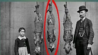 Banned Photos That Reveal What History Tried to HIDE Must See!