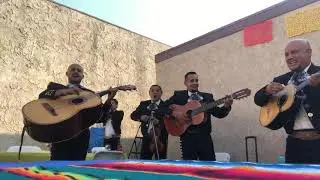 Mariachi loco