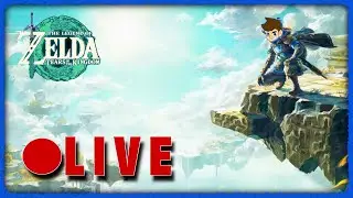 Game is done, but Adventures are to be had in #tearsofthekingdom ? #19 (Post Finale)