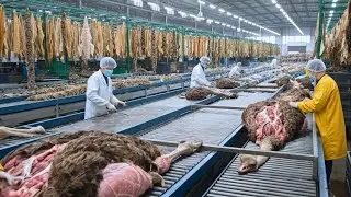 Inside the Ostrich-Leather Factory (Full Process): From Farm Birds to $7,000 Jackets