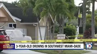 Deputies: 3-year-old dies after falling in pool outside southwest Miami-Dade home