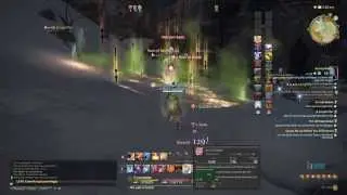 FFXIV Leve Quest: An imp Mobile