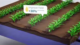 Дренаж с помощью системы Trimble&reg; Ag Drainage Solutions   WM Drain&reg; and WM Subsurface