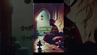 Spiritual Reflections with a Sufi Fakir in LOFI VIBES
