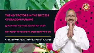 The Key Factors In The Success of Dragon Farming: ড্রাগন চাষের সফলতার অন্যতম মূল কারণ।