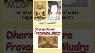 Dharmachakra Mudra