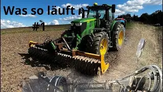 Was so läuft#1 Hecken schneiden, Packer Bauen