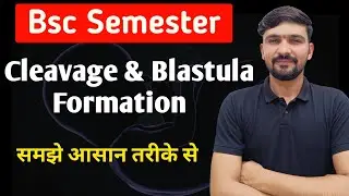 Cleavage And Blastula Formation | Easy Explanation With Diagram | By Dadhich Sir