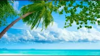 FCE 2 - Test 4 Part 4