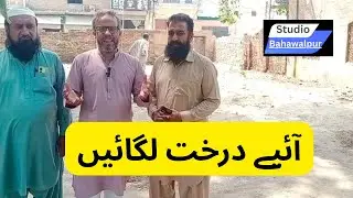 Tree Plantation at Tibbia College Bahawalpur | Studio Bahawalpur | Tree Plantation