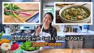 Garden to Kitchen: Swiss Chard - Saag Paneer Recipe