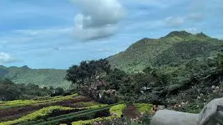 Buwakan Ni Alejandra Cebu City Garden Flowers Tourist Attractions Philippines