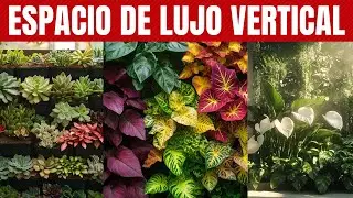 Las 12 MEJORES Plantas de JARD&Iacute;N VERTICAL f&aacute;cil de montar