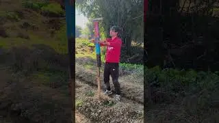 Self-made wooden insertion tool #famer #lifehacks #lifetips  #shorts