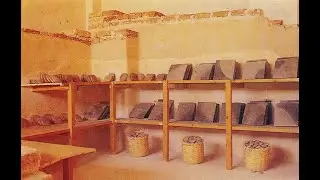 Historia del libro y las bibliotecas