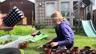 September Day in the Garden- Potting on winter pansy plug plants
