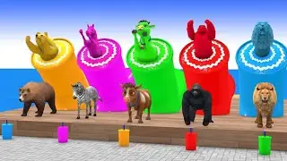 Long Slide Game With Cow Elephant Gorilla Hippopotamus Tiger 3d Animal Game Funny 3d Animals