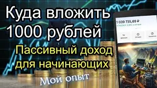 Куда вложить 1000 рублей. Пассивный ДОХОД для НАЧИНАЮЩИХ инвесторов