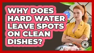 Why Does Hard Water Leave Spots On Clean Dishes? - Food Safety Kitchen