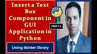 Insert a Text Box in GUI application in Python