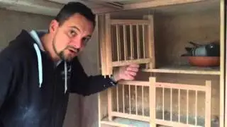 Birdy breeding