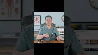 How to Check Your Blood Pressure Accurately: Best Technique & Cuff Sizing Tips!