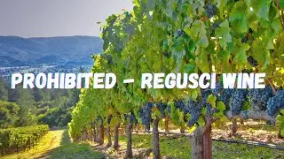 Prohibited - A Regusci Wine Label