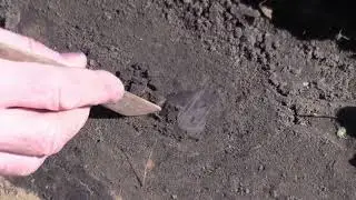 DOVTA Using wood tools (Italian)