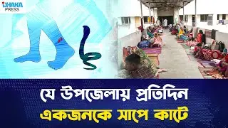 যে উপজেলায় প্রতিদিন একজনকে সাপে কাটে, নেই অ্যান্টিভেনম | Snake Bite Crisis Bangladesh | Health News
