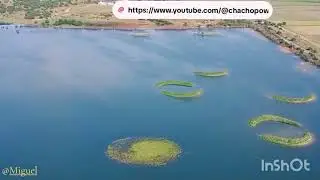 Isla Mayor ( Sevilla)