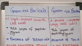 #generalmicrobiology #grampositive bacteria #gram negative bacteria 🦠🦠🦠🦠#differentiation #detailed