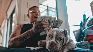 Swifty Blue - Stretch Them Dolla$ (Official Music Video)