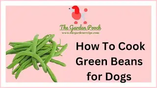 How To Cook Green Beans for Dogs
