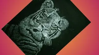 Tiger drawing on black paper|White tiger|Tiger art