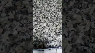 STANDING EGG CHALLENGE