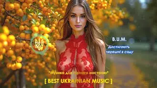 B.U.M. - Достигають черешні в саду